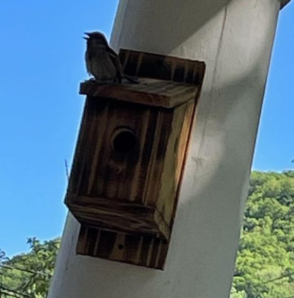 Meet your Posher, Lora - Picture 1 of 1